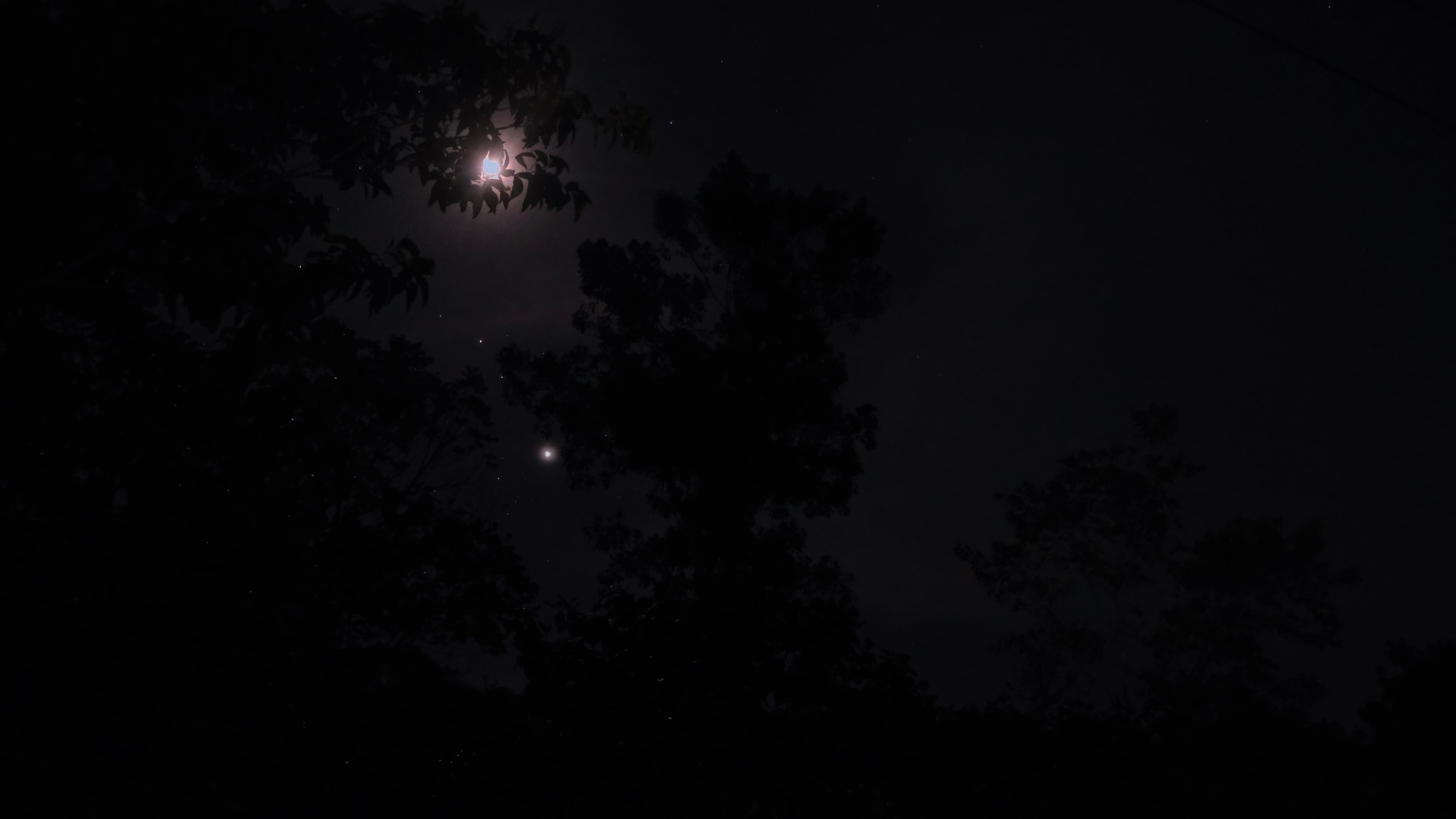 Image00138