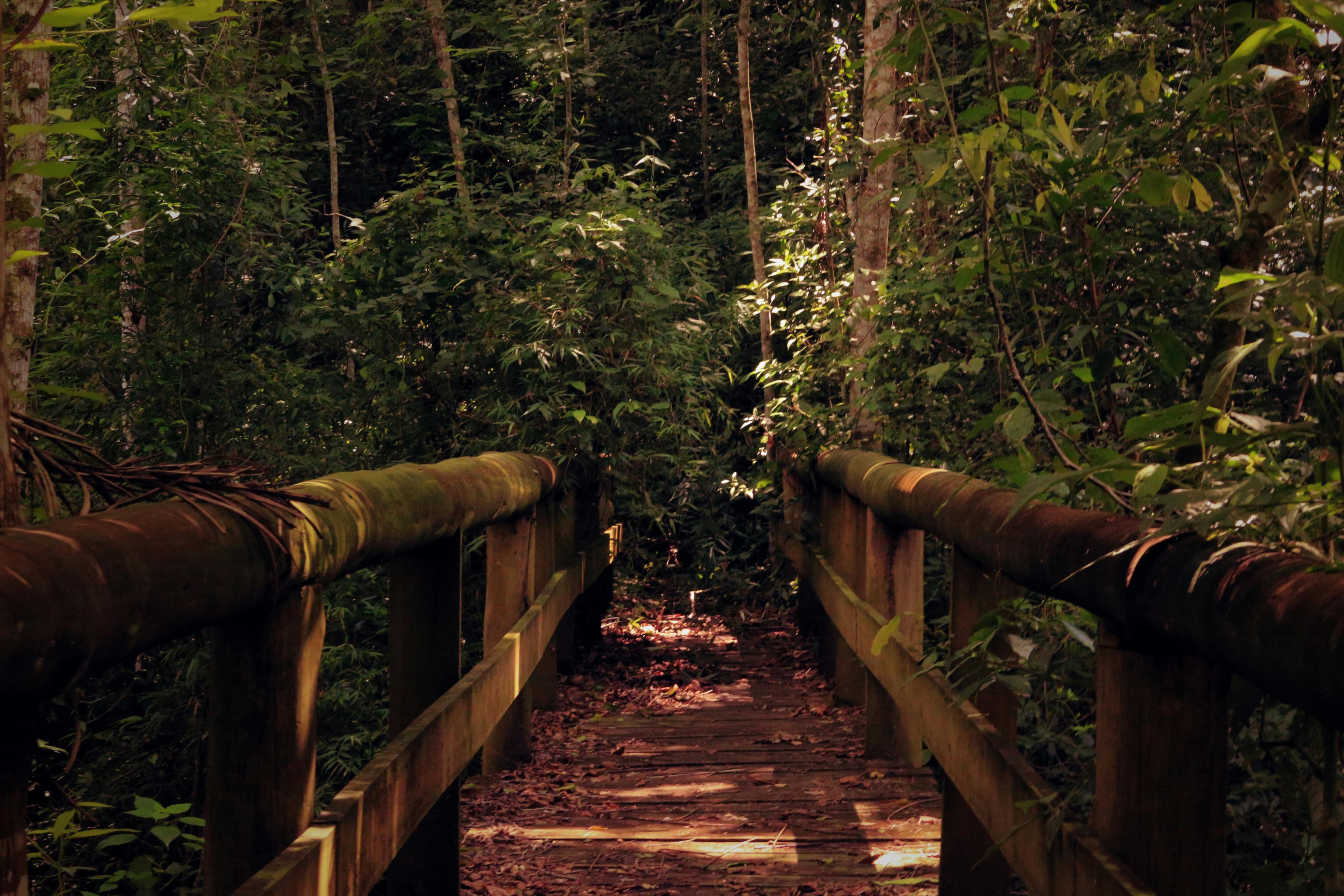 Why choose Ney Eco Adventures?
